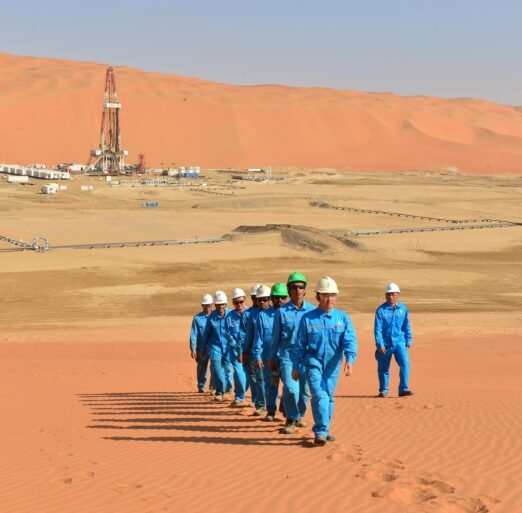 54524725_367977987263796_5783669305153421312_n