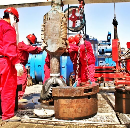 55518348_367977993930462_7007659401678946304_n